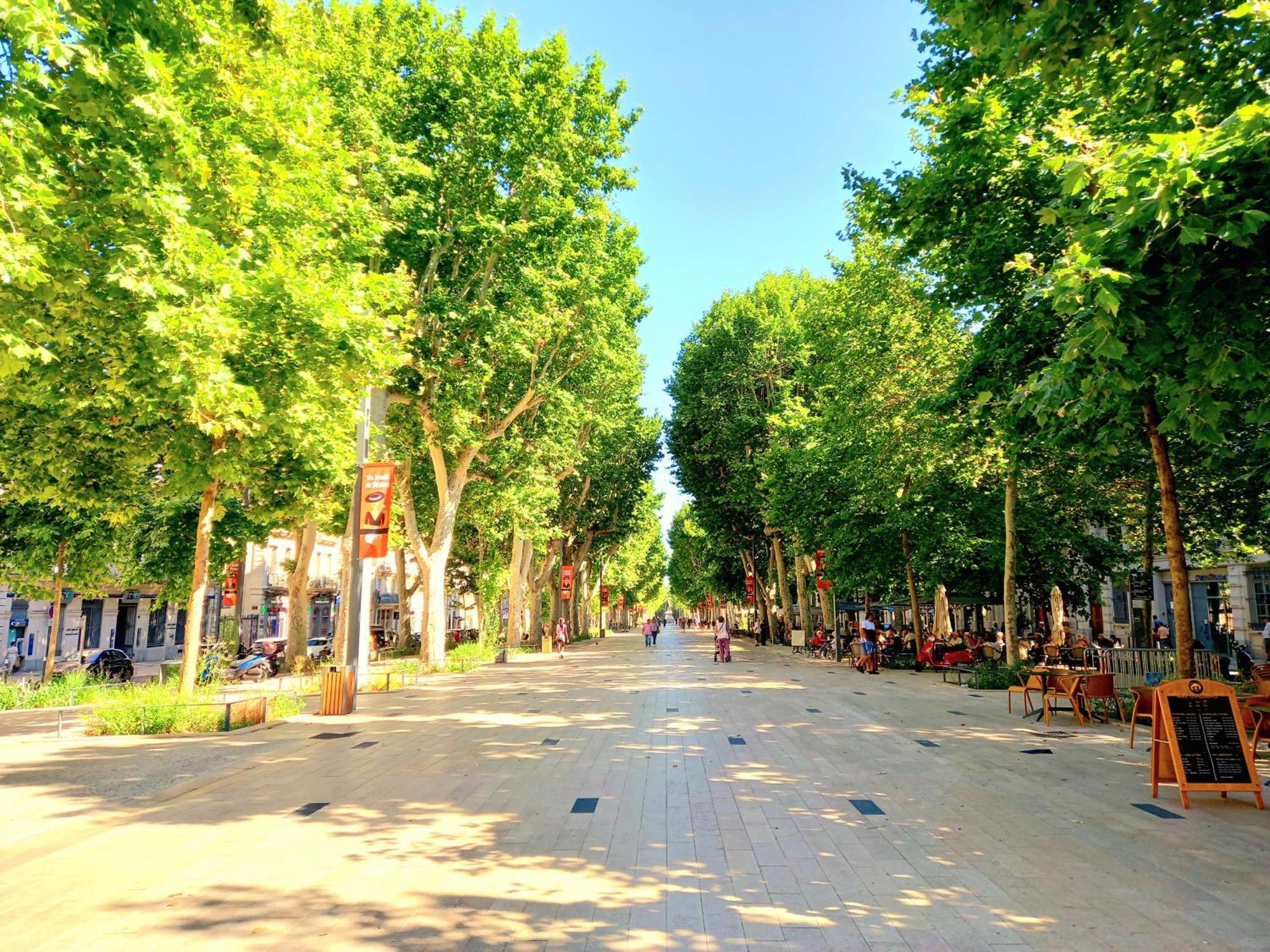 T2 Cathedrale & Torre Ventosa - Central - Clim - Wifi - Balcon - Free Parking Sur Demande 贝济耶 外观 照片